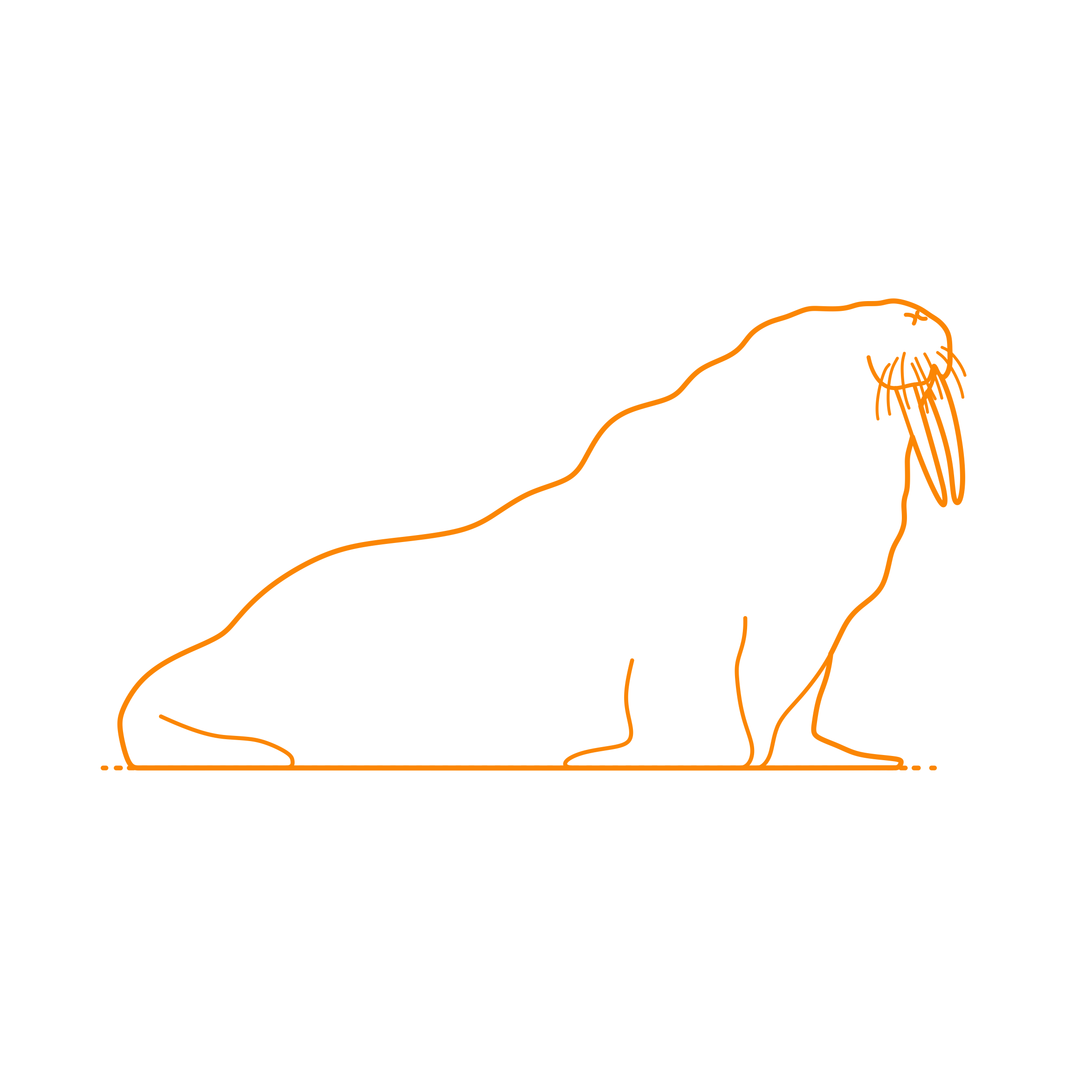 Animals Seals Walrus Digital Sketch Svg Design Free Vectors